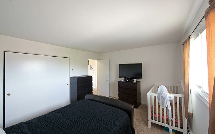 1005 ARGYLE ST – BENSENVILLE